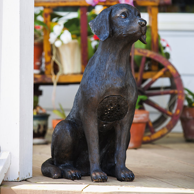 Evergreen Enterprises, Inc Alejandrina Landscape Melodies Man's Best